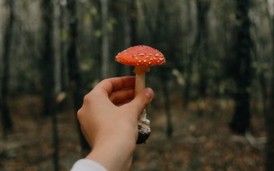 mycose-pieds-podologue-bruxelles